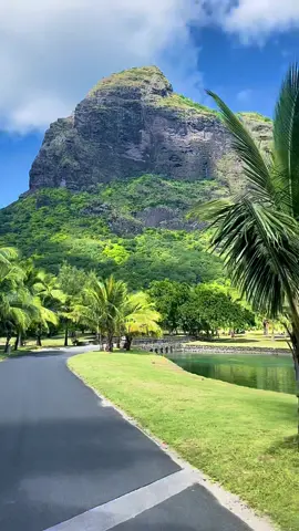 En route to the beach 🌴🐚 📍Mauritius  #mauritius #palmtrees #travel #beach #lemorne #tropical #island #nature #adventure #islandlife 