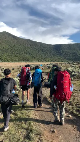 #fypeeeeeeeeeeeeeeeeee #mountain #menujupuncak #gununggede2958mdpl 