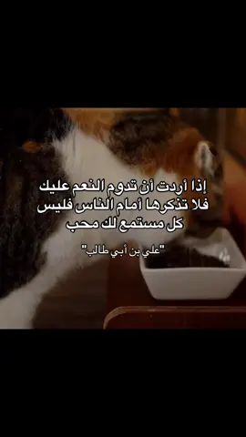 #عبارات #نصائح #الراحة #الراحة_النفسيه___ارح_سمعك #الله #اكسبلور 