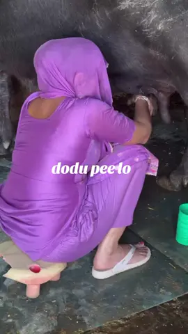 dodu pee lo #trending #fyp #video #vira #viralvideos #foryoupage#fypdong 