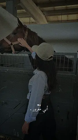 انا انغر على كل شخص ارى في داخله انه مغرور.👌🏻✨🤍#راشديةمطنوخة #خيل_وخياله🐎 #capcut #fyp #foryou #viral #viralvideo 