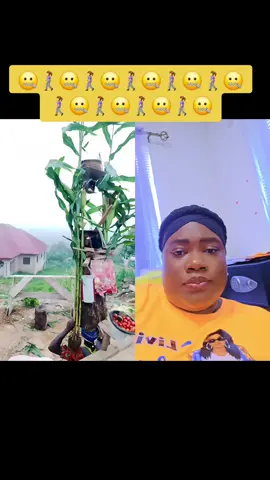 #duet with @Okaserew 