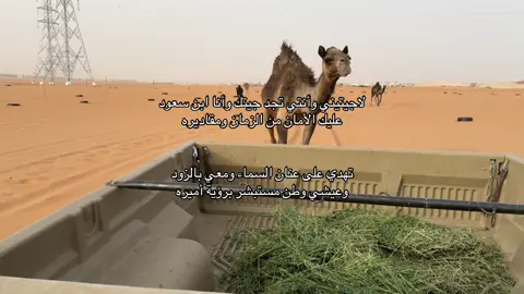 #شرورة #foryou 