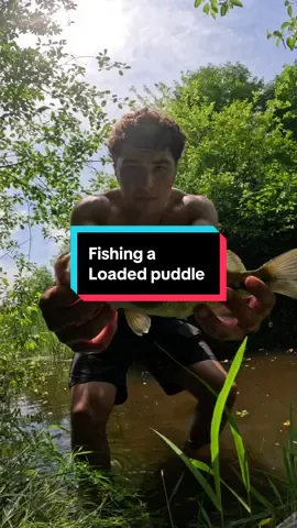 Fishing a loaded mud puddle #fishing #fishingvideos #bassfishing 