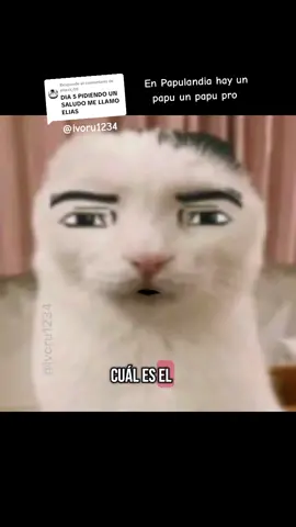 Respuesta a @eliasx_00 En Papulandia hay un papu #PapuChiste #ivoru1234 #TiaPro #papu #Papulandia #YoSoyPro #CosasDePros #CosasDePapus #wazaaaaaaaaaaaaa #papugato #infantil #PapuTia 
