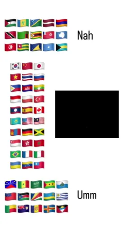 is this enough??  #fyp #trending #viral #flags #onlinefriends #trend #haydi #mytype #ourtype #fineshyt #differentcountries 