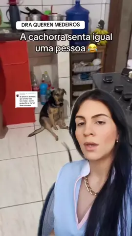 Cachorro com displasia de quadril #cachorro #viral #pet #cachorrosdotiktok #fy #vaiprafy #fyp 