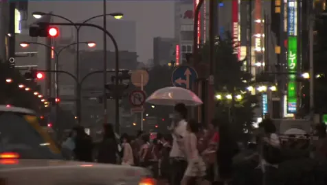 one day i will listen to warmpop in tokyo
