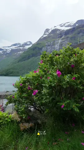 #النرويج🇳🇴 