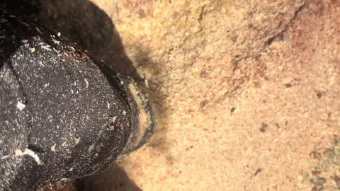 This how u know ur ripping it look them piles 