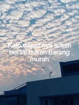 #fyp #sidoarjo #madurapride 