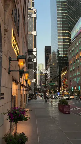 Evening on 5th Avenue, New York Captured on iPhone #newyork #nyc #newyorkcity #cinemasb