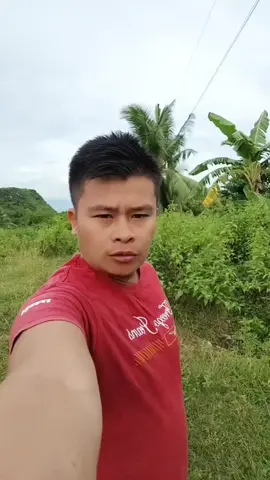 Gusto mo bang kumita gamit ang iyong cellphone?😅😅#tiktok #viral #fyp 