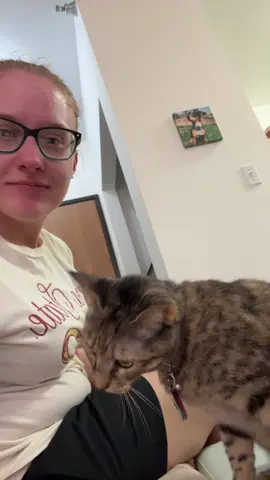 i look chopped in this but it’s too funny not to post (also Tilly’s tiktok debut🤑) #fyp #funny #viral #taylorswift #cat #catsoftiktok 