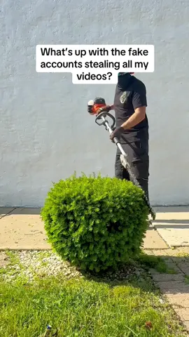 Don’t support them legends! #asmr #gardening #satisfying