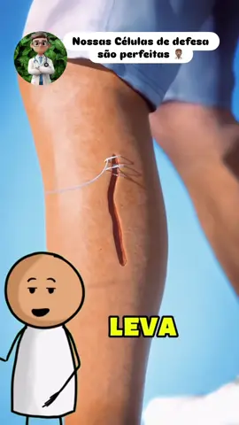 🧵Cortou feio? Talvez precise de uns pontinhos! Sabe aquele corte que não para de sangrar ou tá muito aberto? Pode ser caso de sutura! 💉 Os pontos ajudam a fechar direitinho, evitar infecções e deixar a cicatriz mais bonita. Na dúvida, corre pro atendimento! 🏃‍♂️💨 #Corte #Sutura #PrimeirosSocorros #DicaDeSaúde #Farmacêutico #CorpoHumano #Farmacêutico #DicaDeSaúde #elizeufilho #juinamt 