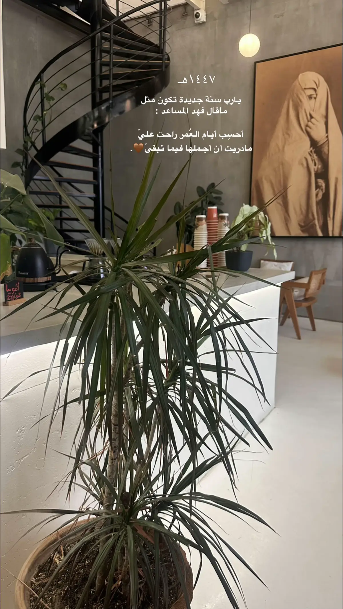 #اكسبلورfyp #سنه_سعيدة#١٤٤٧هّـ #explore 
