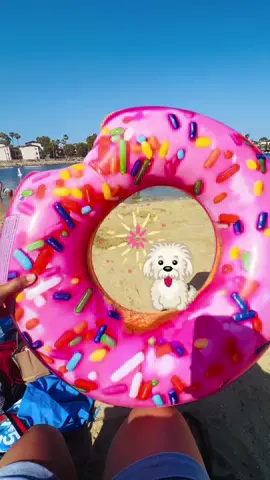 #dollertree #donuts #donut #floatingsandbox  #float #beach #ocean #sea #adventuretime  #adventure #fivebelow  guessing  game. ##guessinggame ##guessing##passoinoftreasure ##yummy##delicious 