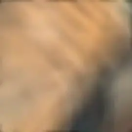 الف رحمه ونور تنزل عليك يا روح قلبي ✨💔