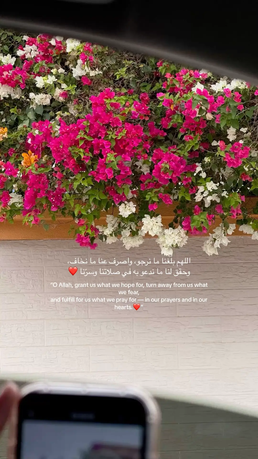 #fyp #دعاء_مستجاب #عوض #pourtoi #استغفرالله #اللهم_صلي_على_نبينا_محمد #اكسبلور #اكسبلوررررر #الشعب_الصيني_ماله_حل😂😂 #fouryou #fouryourpage #pov #explorepage✨ #explore #مالي_خلق_احط_هاشتاقات #fyppp #foryoupage❤️❤️ #ikr_ammmm #عرض #دعاء_جميل 
