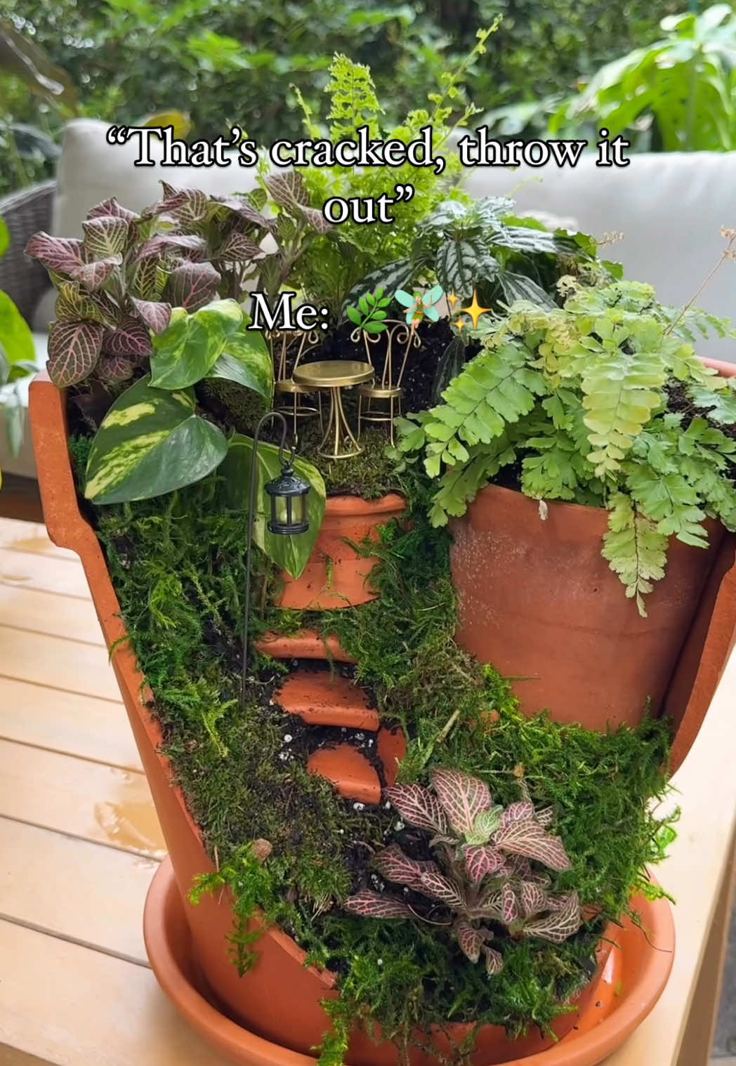 Proof that even cracked things can become something magical.  Next time a planter breaks, don’t toss it—turn it into a fairy garden. All you need is some soil, moss, and a little imagination. Save this idea for the next time one of your pots breaks! . . . . #fairygarden #brokenpotproject #diyplanter #succulentgarden #plantdiy Houseplant decor | plant crafts | fairy garden craft diy | plant diy 