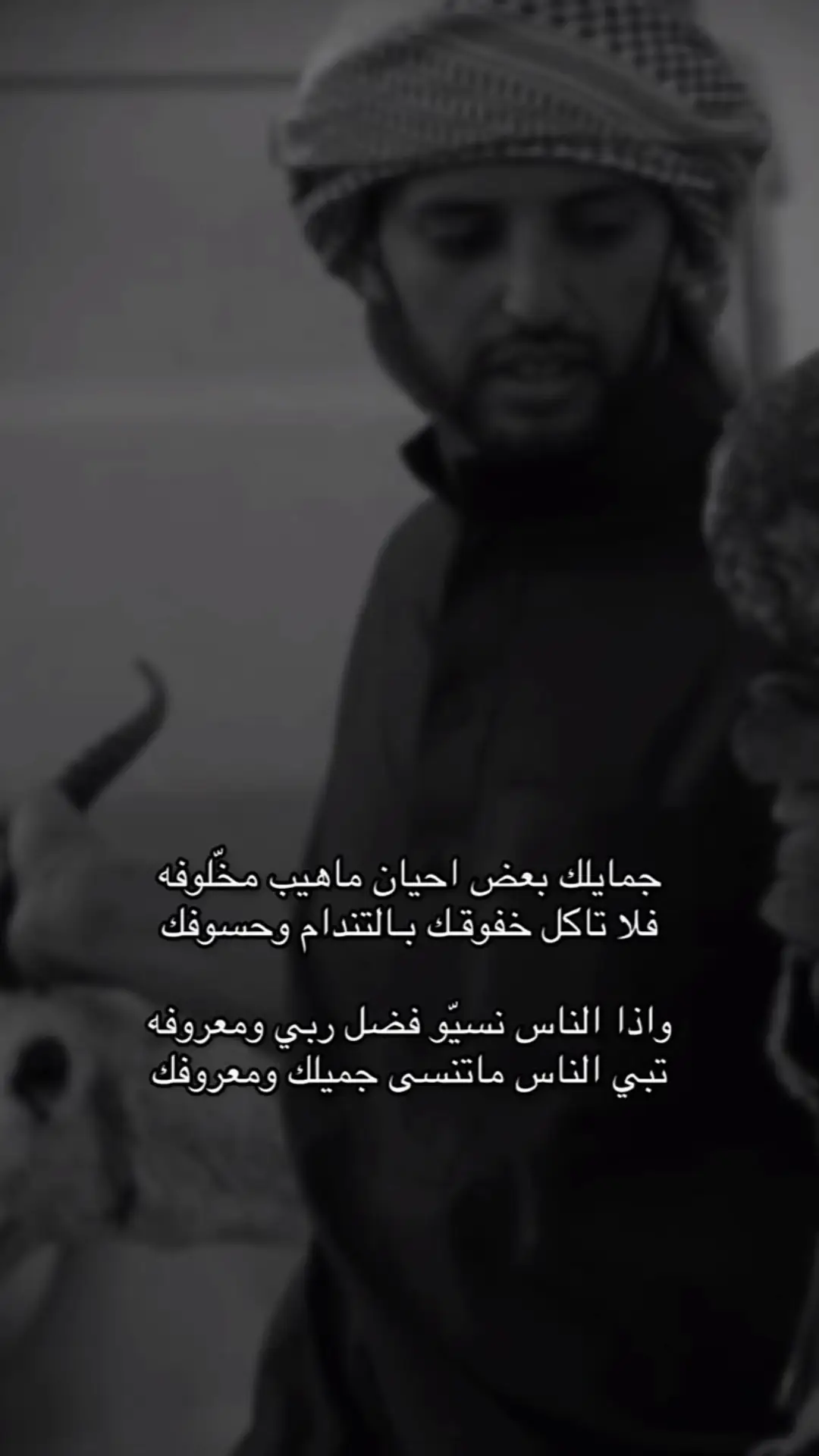 #محمد_الشايب #شعروقصايد #fypシ @نواف 