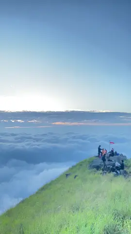 Mt Lincing 1860MDPL dengan Lautan Awannya. #mtlincing1860mdpl #gunungjawatimur #beautifulindonesia 