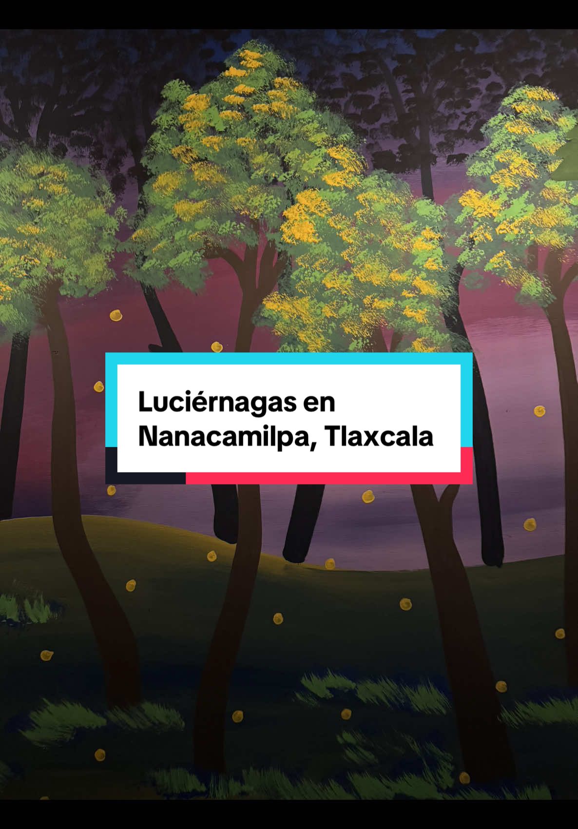 Inició la temporada de luciérnagas. ✨🤩 Esto es lo que debes saber para verlas en Nanacamilpa, Tlaxcala. A dos horas y media de CDMX.  #luciernagas #tlaxcala #viajes #travel #mexico