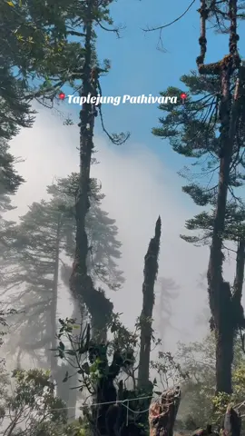 Subha bihani❤️🫶🏻#pathivara_taplejung #fypシ 