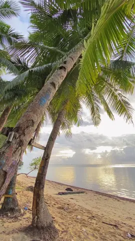 Suasana pagi #pantaimembuku #ereke #butonutara #sulawesitenggara #fyp #fypシ 