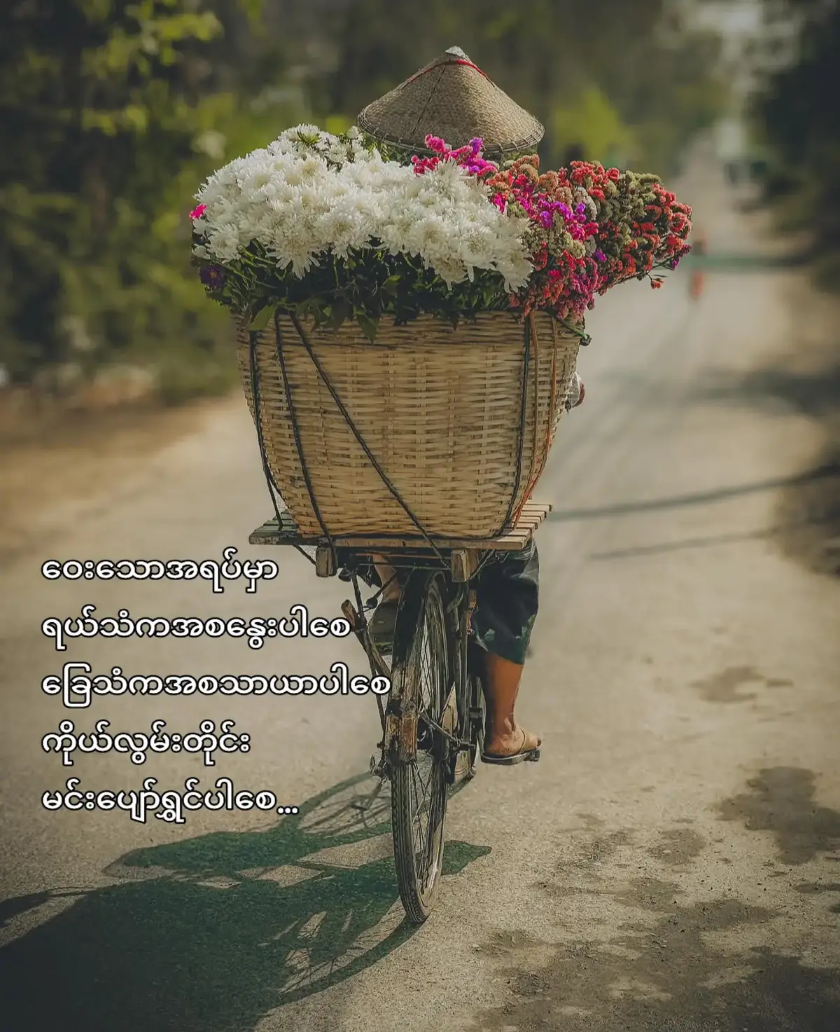 ချစ်သောရေ... ဝေးသောအရပ်မှာ ရယ်သံကအစနွေးပါစေ  ခြေသံကအစသာယာပါစေ ကိုယ်လွမ်းတိုင်း မင်းပျော်ရွှင်ပါစေ...❤️✨ #crd #စာတို #ကဗျာ #foryou #booklover #BookTok #fyp #foryoupage #tiktokmyanmar  #morning 