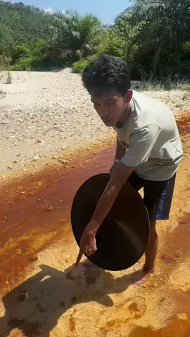 Looking for gold and panning for gold buried in river walls #goldhunter #mininggold #goldpanning #golddiscovery #viralvideo #foryou #foryoupage 