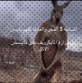 #fyp #foryou #اكسبلور #viral #explore #chatgpt #explore #fyppppppppppppppppppppppp 
