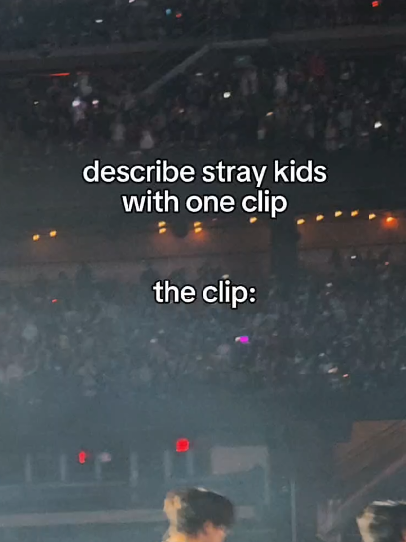 yall ive gone to......MANY stray kids concerts this past 2 months and I think im guna spam some concert stuff on here too hehehe would love to work with brands who need concert footage, or just live event coverage in the near future <33 #straykids #dominate #dominatenewyork #skz #dominatetour #livemusic #event #ugc #ugccreator