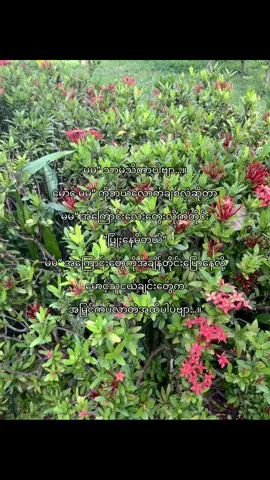 🥺💞#fypシ゚ #วัยรุ่น 