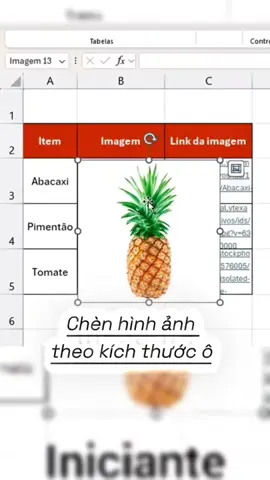 Chèn hình ảnh theo kích thước ô #tinhocvanphong2024 #LearnOnTikTok #hocexcel #excel #hoccungtiktok #thuthuatexcel 