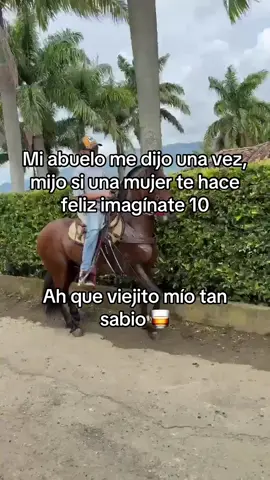 #agropecuario #ftypシ #raspas #guasca #videoviral #caballistasdecorazon #trochapuracolombiana #viralvideos #caballistas #caballosecuador🐴🇪🇨 #pasofinocolombiano #caballos #corridos #ccc #musicapopular 