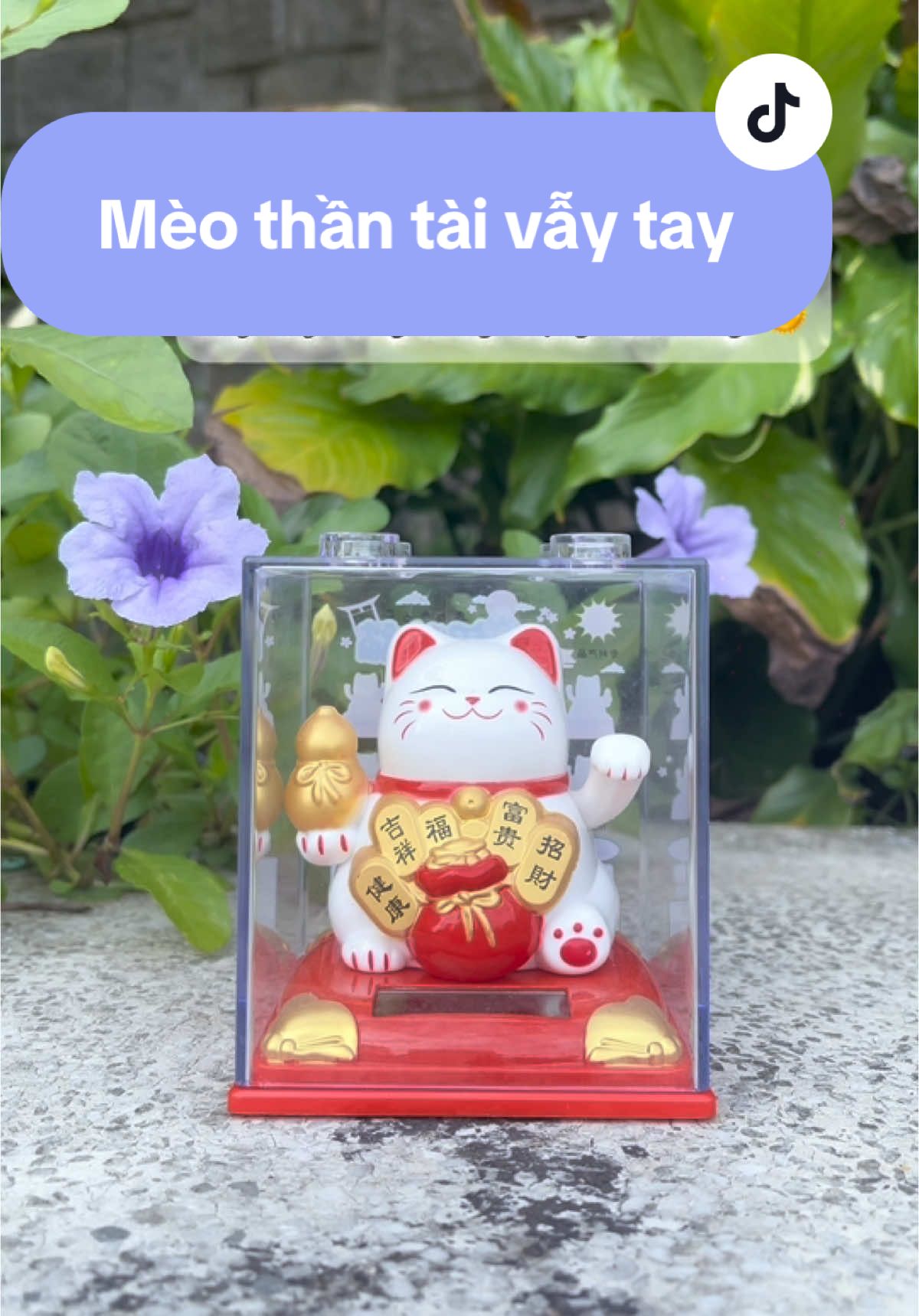 Mèo thần tài vẫy tay may mắn, chỉ cần đặt mèo nơi có ánh sáng là đã vẫy tay rồi nè. Làm quà tặng hay trưng bày đều phù hợp #goccuayangg #minhthuytaphoa #meothantai #meothantaivaytay #meothantaimayman #titok 