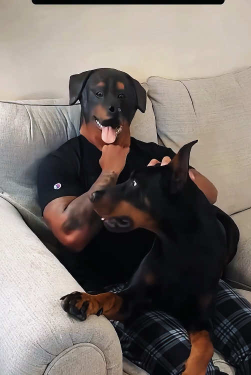 Trying to catch my dogs off guard to get their reaction #funnyvideos #pet #fyp #funnytiktok #Funny #usa #dogs #happy 
