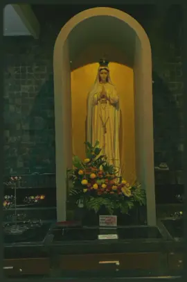 Bunda✝️🥰#timorleste🇹🇱 #katolik #CapCut#fyp 