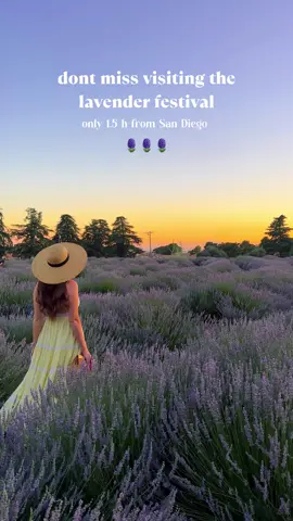 Have you been? 📍123 Farm #lavender #lavenderfields #socal #california 