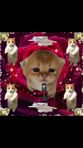 bad habit 🐈🐈 #viral #catcore #talkingpetsai #sillycats #brainrotcore #cattok #catsoftiktok #usa #catlover #brainrot #jollytok #catslovers #2021 