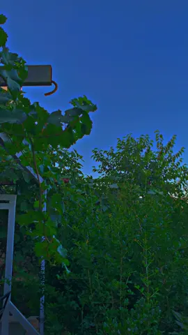 هەمو شتێک کۆتاییەکی هەیە  کۆتای ئێمەش مردنە ....🖤