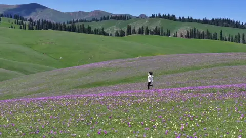 ไม่ต้องใช้ฟิลเตอร์ เพราะทุกภาพใน “ซินเจียง” คือวอลเปเปอร์ระดับเทพ เดินเล่นคนเดียวที่น่าราติ (นาลาถี) เหมือนได้หลุดเข้าไปในเทพนิยาย ภูเขาหิมะ ทุ่งดอกไม้ ทุ่งหญ้า และพระอาทิตย์ตก ฤดูร้อนที่น่าราติ งดงามจนเกินบรรยาย ทุ่งหญ้าถูกปกคลุมด้วยดอกไม้หลากสี ใกล้ตัวมีฝูงวัวแกะเดินกินหญ้าอย่างสงบ ไกลออกไปคือแนวเขาหิมะตระการตา แค่เงยหน้าขึ้นก็เหมือนได้ชมภาพยนตร์ระดับบล็อกบัสเตอร์ ยิ่งในช่วงเย็น แสงพระอาทิตย์ตก จะย้อมท้องฟ้าให้เป็นสีแดงอมทอง สวยงามจนเหมือนความฝัน#chinatravel #China #Travel #tiktoktravel #chinatiktok #tarvel #traveltiktok #xinjiang #tiktokindia #chinatrip #tiktotravel #tiktokchina #xinjiangchina #xinjiangtravel #tiktoktrip #tiktok 