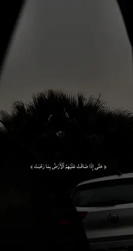 #قران_كريم #قرآن_كريم_راحة_نفسية🌷🌻 #قرأن_كريم_راحة_نفسية #قرآنيات #قرآني #قران_كريم_بصوت_جميل #قران_كريم_ارح_سمعك_وقلبك♡ #قران_صلي_علي_النبي #حتى_اذا_ضاقت_عليهم_الارض_بما_رحبت 