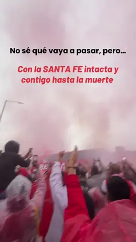La fuerza de la FE, Te amo Santa Fe ❤️🤍🦁 #santafe #laguardiaalbirojasur #futbol⚽️ #final #paratiiiiiiiiiiiiiiiiiiiiiiiiiiiiiii #fyp #independientesantafe #viralvideos #lgars #lgars🤍❤️ #fe 
