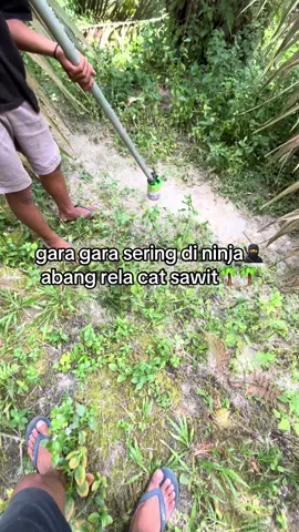 Parninja janjokk🥷#sawit #kulisawit #sawitontiktok #sawitriau #petaniindonesia🇮🇩🇮🇩🇮🇩🌿🌿 