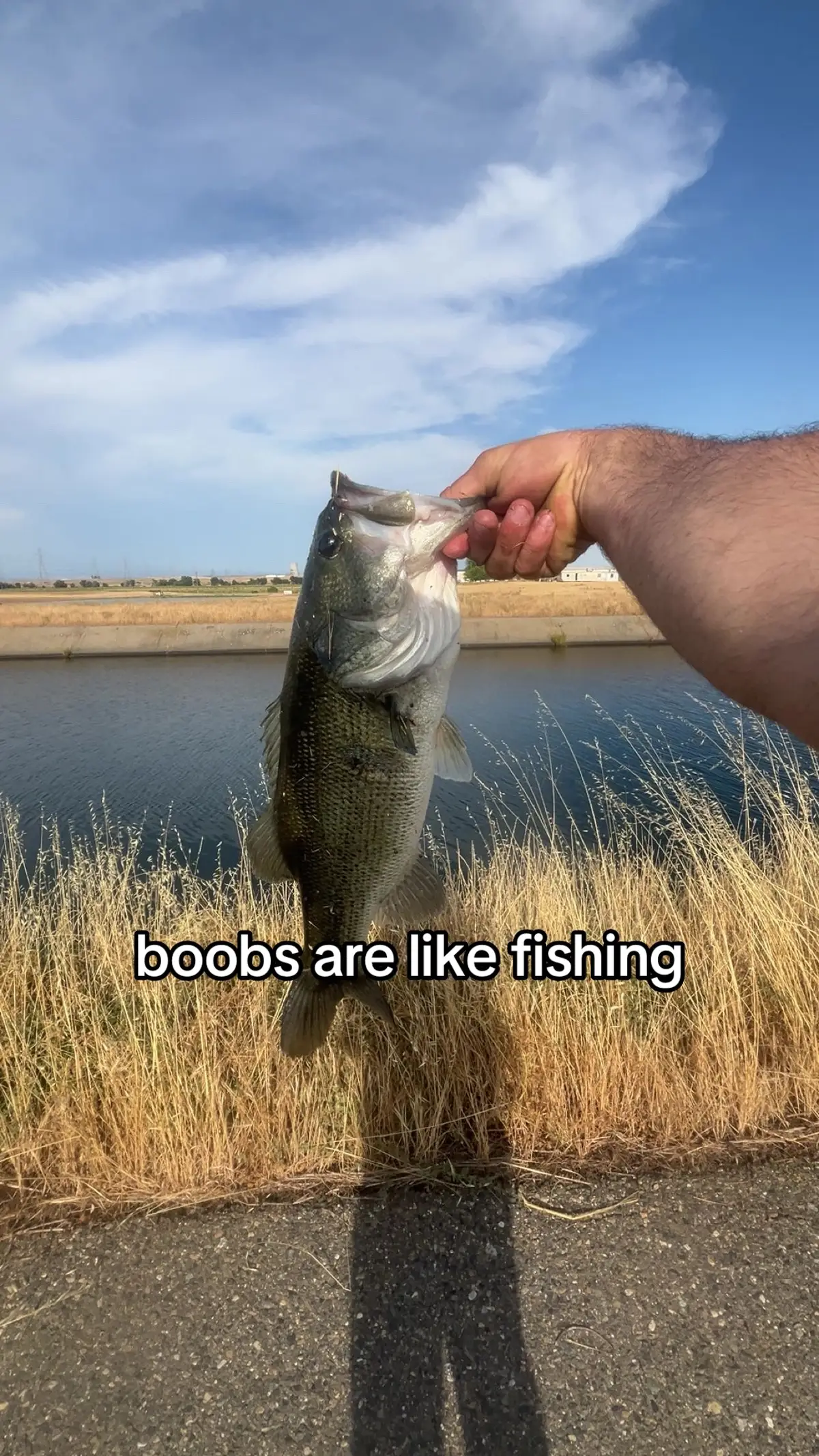 reposting same fish bc i aint caught shiiii