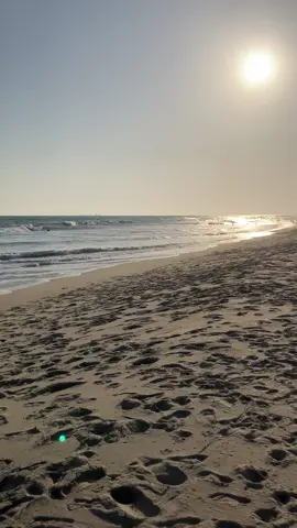 i actually hate grow a garden so much. there is no point to it. i tried it once thinking that the hype meant that it would be a good game.you buy seeds, plant them, and sell the crops. thats it. what fun is there in a game like that. its like a much more boring version of a regular roblox tycoon. i really dont get why so many people like it. 