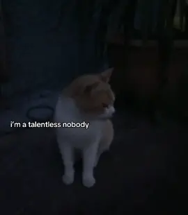 #vent #cats #fyp #mentalhealthmatters #untalented 